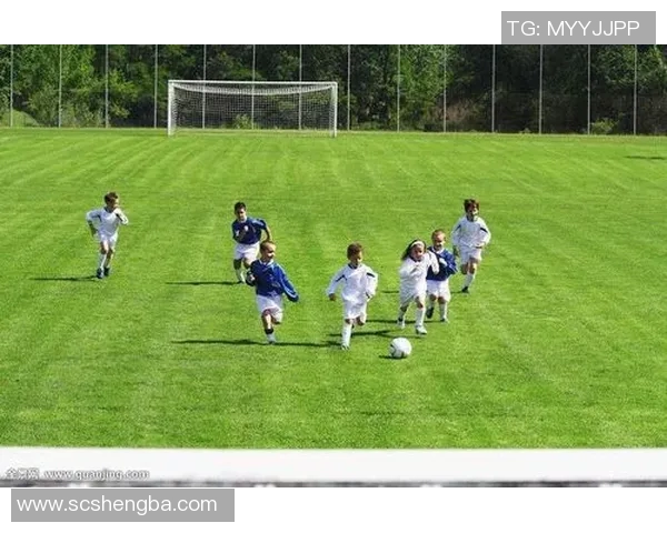 足球明星高峰的子女情况揭秘及其在体育界的影响力分析